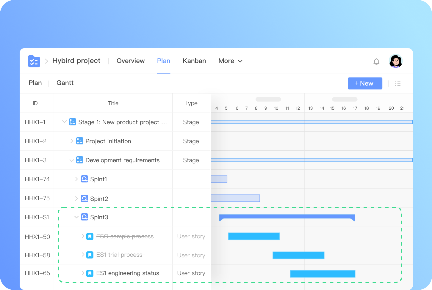 Hybird project management
